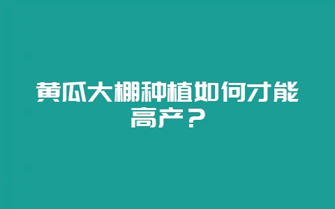 黄瓜大棚种植如何才能高产？-会东网
