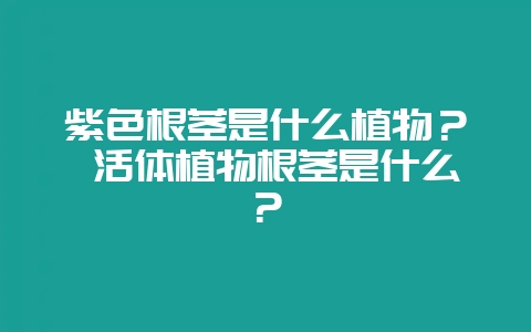 紫色根茎是什么植物？ 活体植物根茎是什么？-会东网