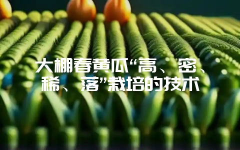 大棚春黄瓜“高、密、稀、落”栽培的技术-会东网