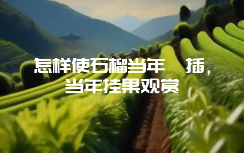 怎样使石榴当年扦插，当年挂果观赏-会东网