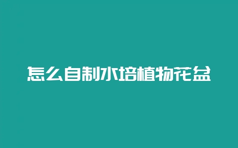 怎么自制水培植物花盆-会东网