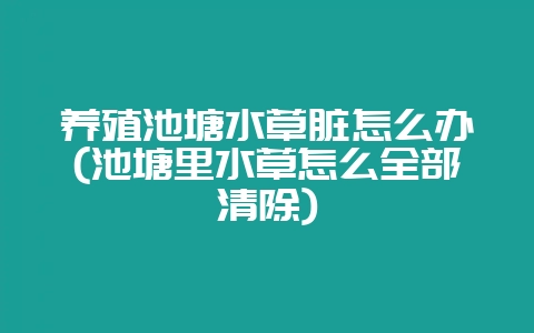养殖池塘水草脏怎么办(池塘里水草怎么全部清除)-会东网