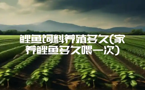 鲤鱼饲料养殖多久(家养鲤鱼多久喂一次)-会东网