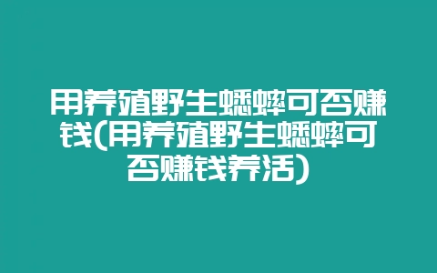 用养殖野生蟋蟀可否赚钱(用养殖野生蟋蟀可否赚钱养活)-会东网