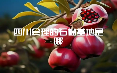 四川会理的石榴基地是哪-会东网