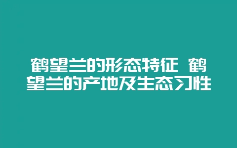 鹤望兰的形态特征 鹤望兰的产地及生态习性-会东网