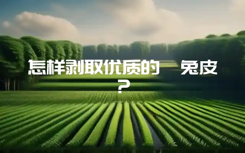 怎样剥取优质的獭兔皮？-会东网