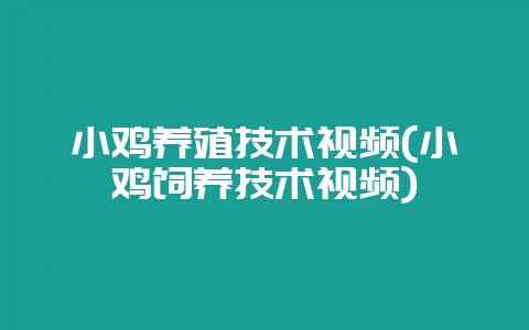 小鸡养殖技术视频(小鸡饲养技术视频)-会东网