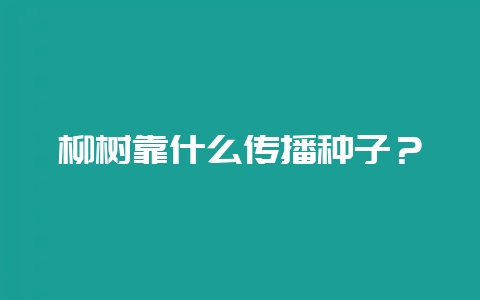 柳树靠什么传播种子？-会东网