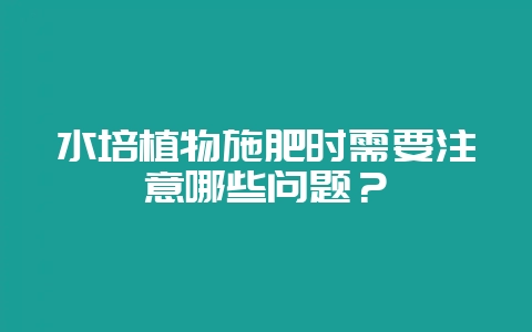 水培植物施肥时需要注意哪些问题？-会东网