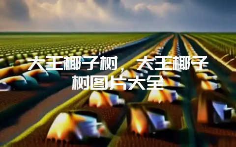 大王椰子树，大王椰子树图片大全-会东网