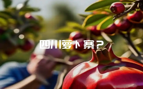 四川萝卜寨?-会东网