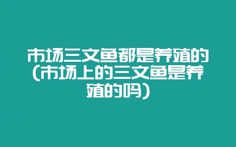市场三文鱼都是养殖的(市场上的三文鱼是养殖的吗)-会东网