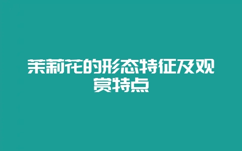 茉莉花的形态特征及观赏特点-会东网