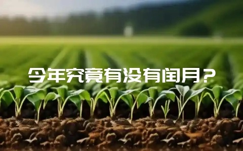 今年究竟有没有闰月？-会东网