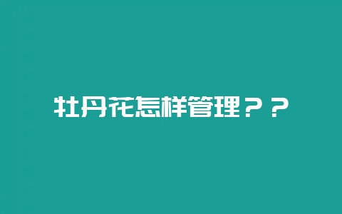 牡丹花怎样管理？？-会东网