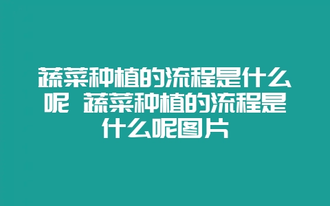 蔬菜种植的流程是什么呢 蔬菜种植的流程是什么呢图片-会东网
