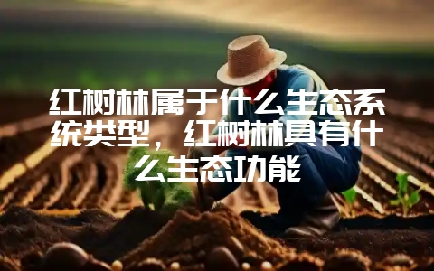 红树林属于什么生态系统类型，红树林具有什么生态功能-会东网