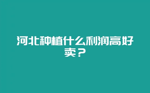 河北种植什么利润高好卖？-会东网