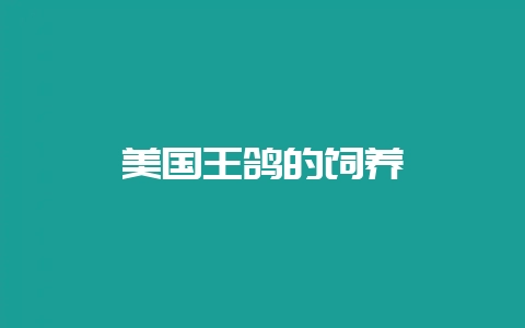 美国王鸽的饲养-会东网