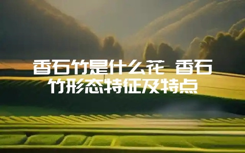香石竹是什么花 香石竹形态特征及特点-会东网