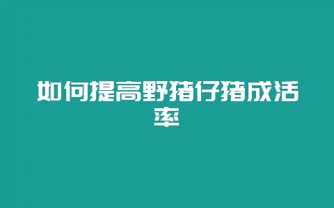 如何提高野猪仔猪成活率-会东网