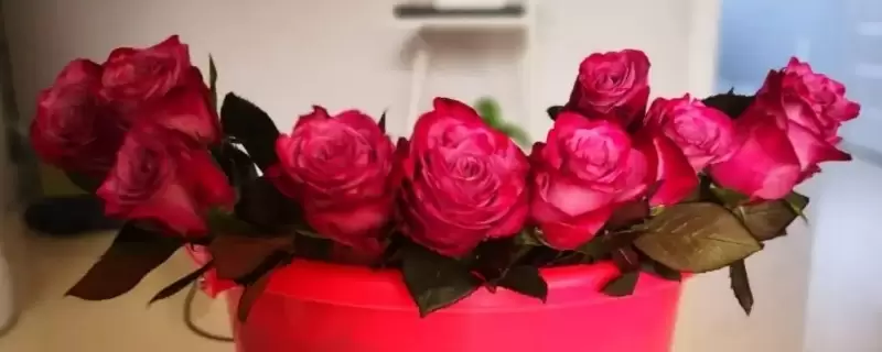 醒花和正常水养有什么区别-会东网