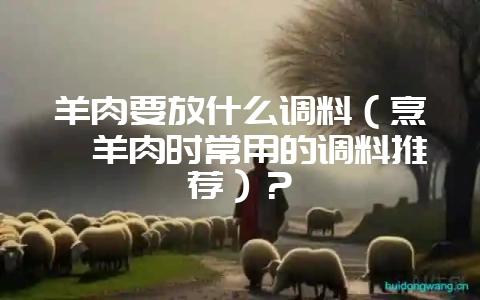 羊肉要放什么调料(烹饪羊肉时常用的调料推荐)?插图 羊肉要放什么调料(烹饪羊肉时常用的调料推荐)?插图