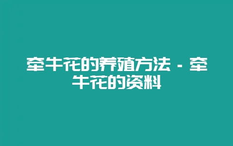 牵牛花的养殖方法－牵牛花的资料-会东网