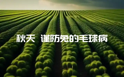 秋天 谨防兔的毛球病-会东网