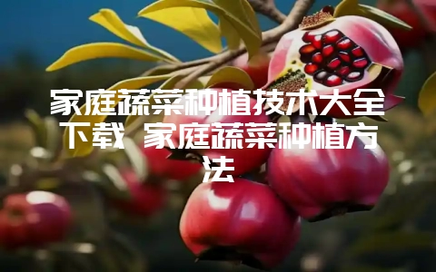 家庭蔬菜种植技术大全下载 家庭蔬菜种植方法-会东网