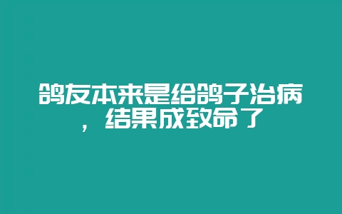 鸽友本来是给鸽子治病，结果成致命了-会东网