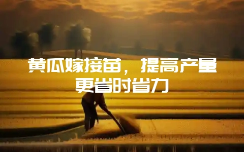 黄瓜嫁接苗,提高产量更省时省力-会东网