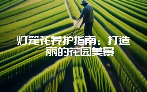 灯笼花养护指南：打造绚丽的花园美景-会东网