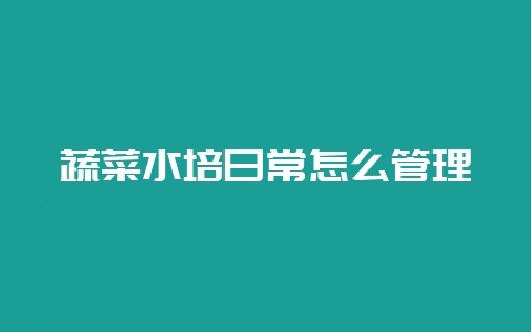蔬菜水培日常怎么管理-会东网