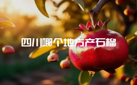 四川哪个地方产石榴-会东网