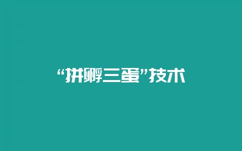 “拼孵三蛋”技术-会东网