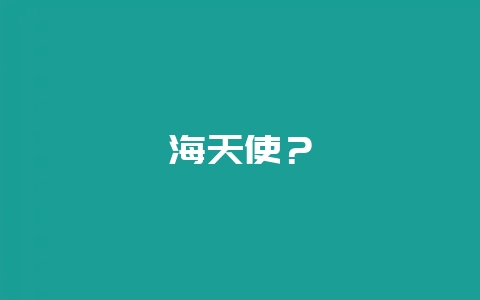 海天使？-会东网