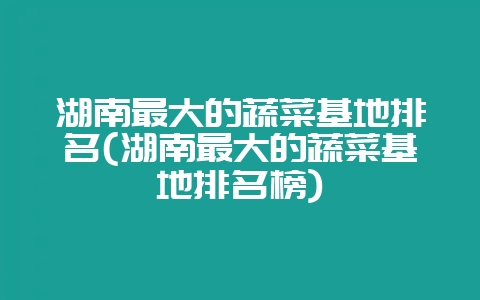 湖南最大的蔬菜基地排名(湖南最大的蔬菜基地排名榜)-会东网