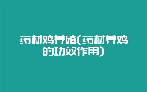 药材鸡养殖(药材养鸡的功效作用)-会东网
