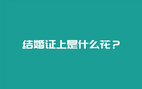 结婚证上是什么花？-会东网