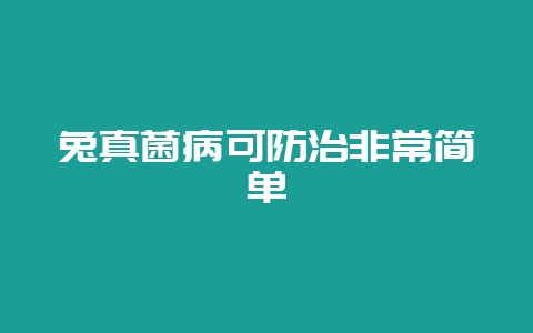兔真菌病可防治非常简单-会东网