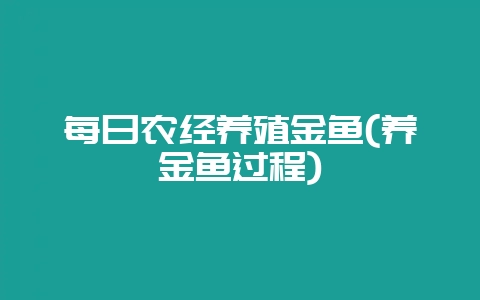 每日农经养殖金鱼(养金鱼过程)-会东网