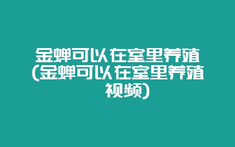 金蝉可以在室里养殖嘛(金蝉可以在室里养殖嘛视频)-会东网