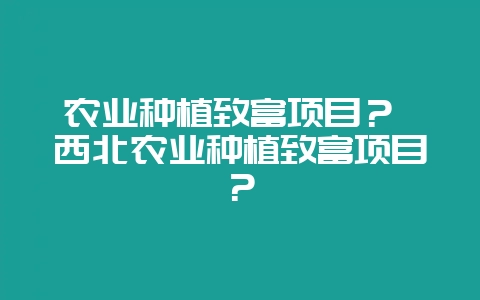 农业种植致富项目? 西北农业种植致富项目?-会东网