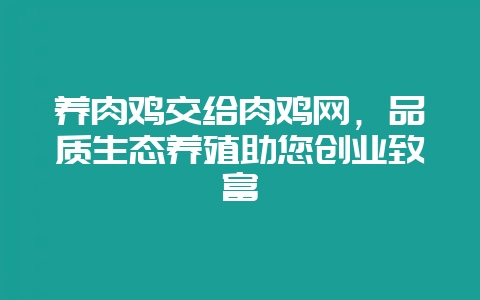 养肉鸡交给肉鸡网，品质生态养殖助您创业致富-会东网