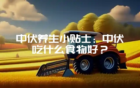 中伏养生小贴士：中伏吃什么食物好？-会东网