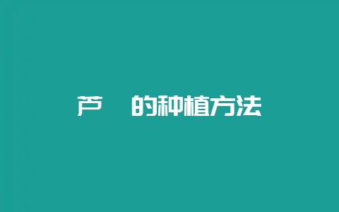 芦荟的种植方法-会东网