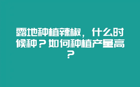 露地种植辣椒，什么时候种？如何种植产量高？-会东网