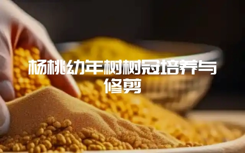杨桃幼年树树冠培养与修剪-会东网